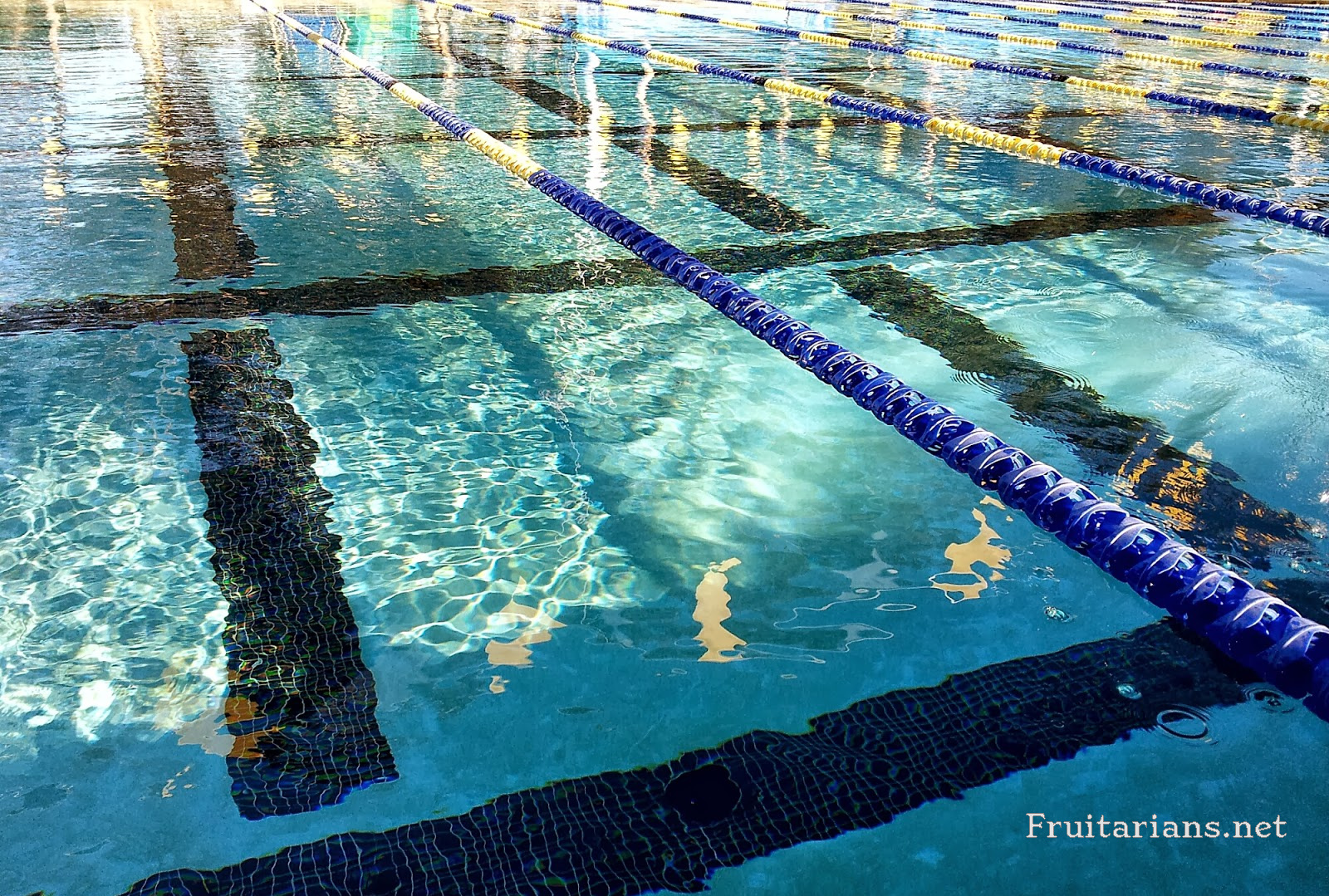 First Swim in a University Pool